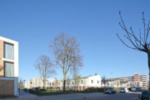 De Nijl Architecten - Stedenbouwkundig plan De Raden